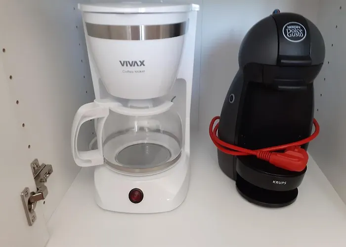 Jasa 프리모스턴